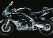 Triumph Daytona 955i